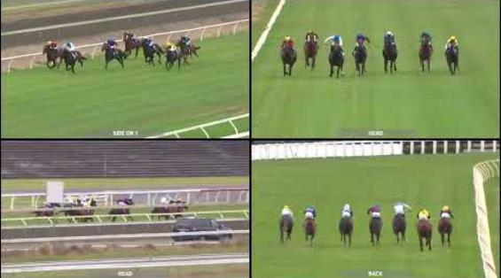 View video › View video ›