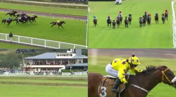 View video › View video ›