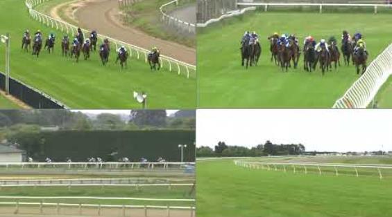 View video › View video ›