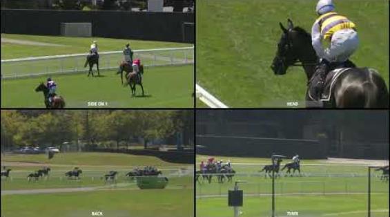 View video › View video ›