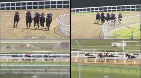 View video › View video ›