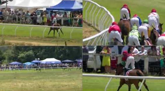 View video › View video ›