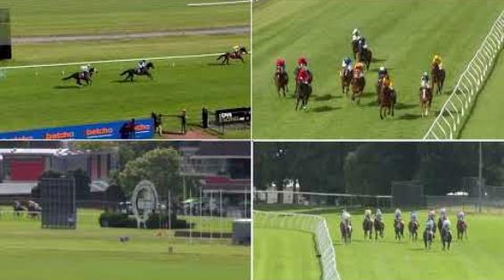 View video › View video ›