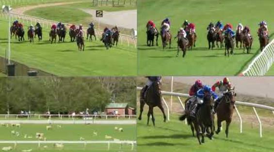 View video › View video ›