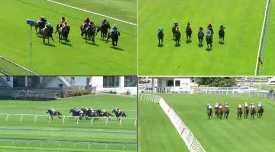 View video › View video ›