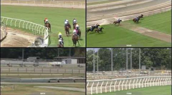 View video › View video ›