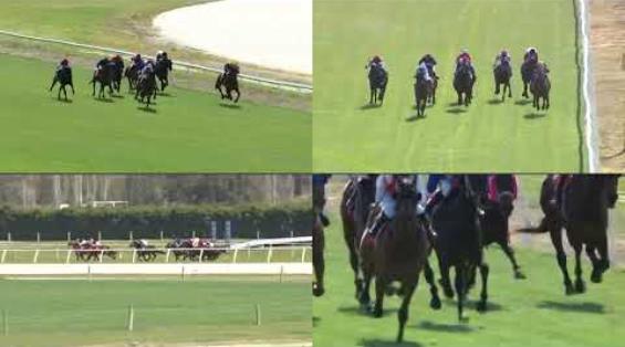 View video › View video ›