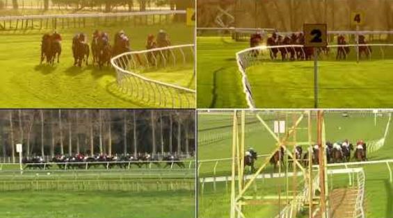 View video › View video ›