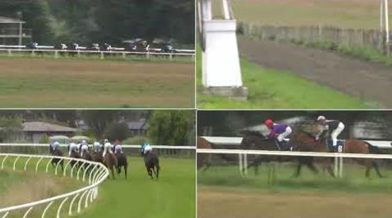 View video › View video ›