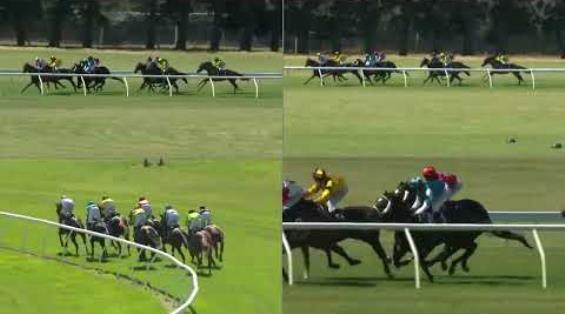 View video › View video ›