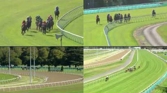 View video › View video ›