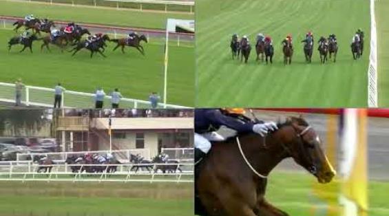 View video › View video ›