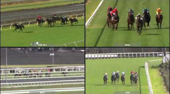 View video › View video ›