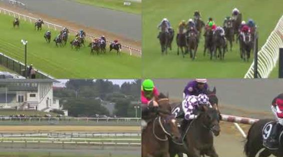 View video › View video ›