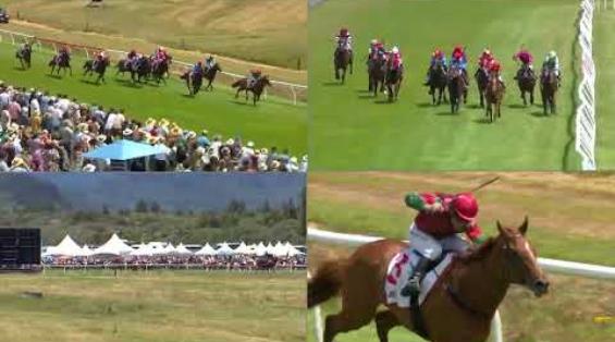 View video › View video ›