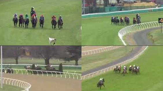 View video › View video ›