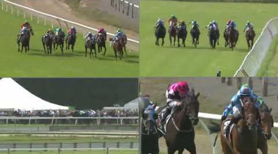 View video › View video ›