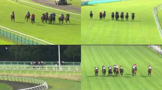 View video › View video ›