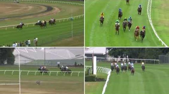 View video › View video ›