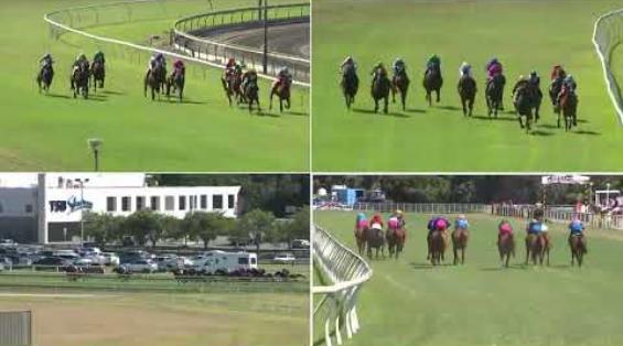 View video › View video ›