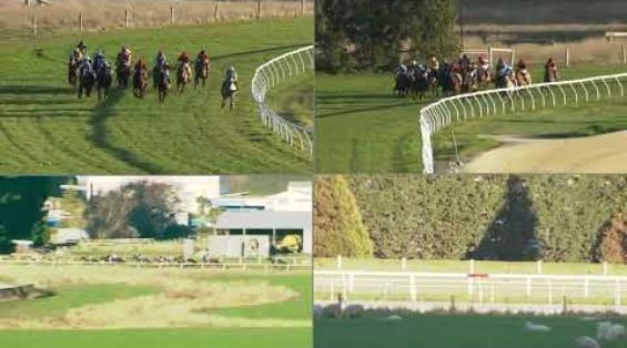 View video › View video ›