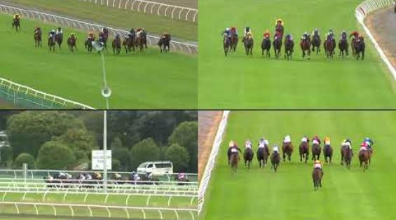 View video › View video ›