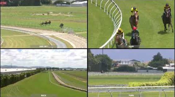 View video › View video ›