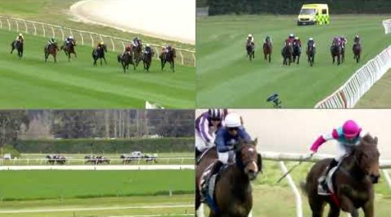 View video › View video ›