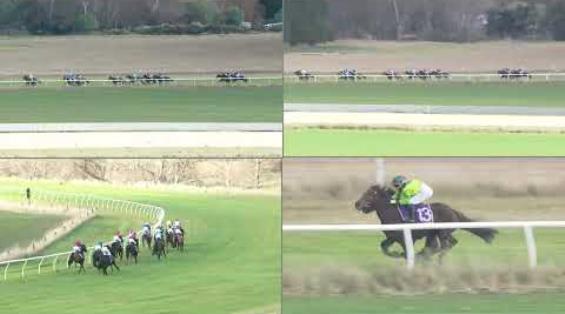 View video › View video ›