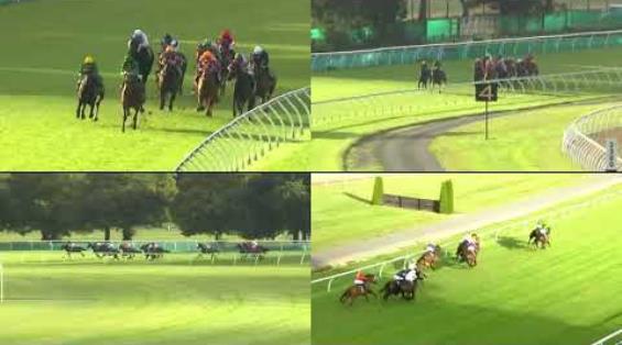 View video › View video ›