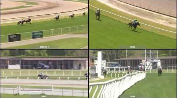 View video › View video ›