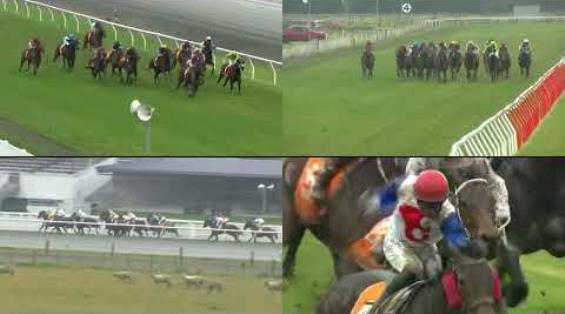 View video › View video ›