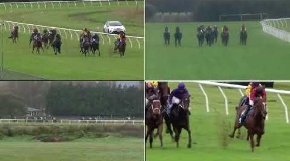 View video › View video ›