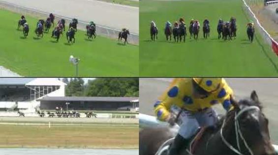 View video › View video ›