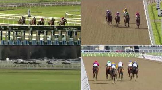 View video › View video ›