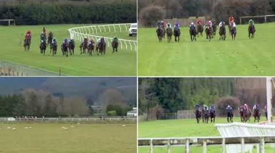 View video › View video ›