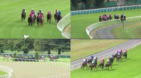 View video › View video ›