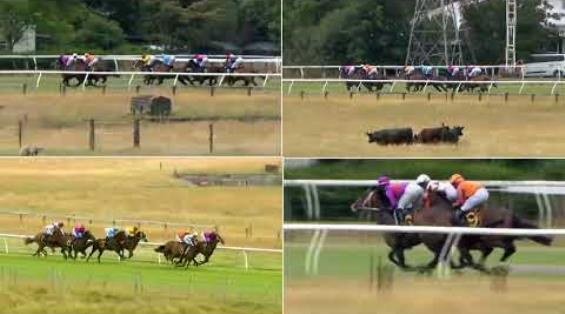 View video › View video ›