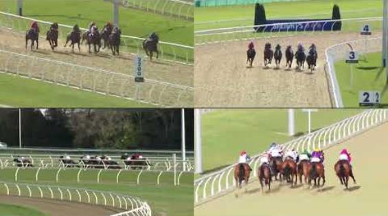 View video › View video ›