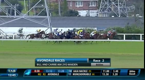 View video › View video ›