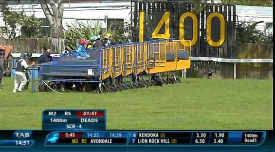 View video › View video ›