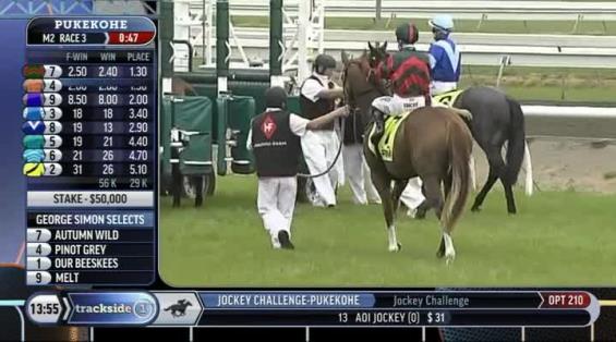 View video › View video ›