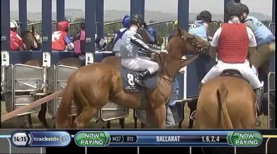 View video › View video ›