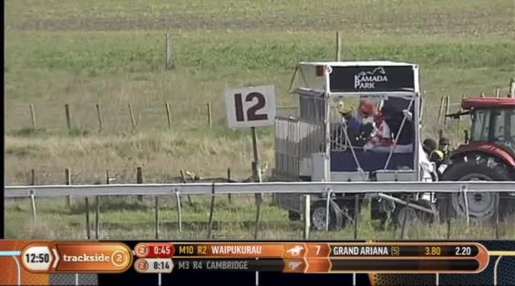 View video › View video ›