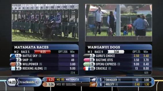 View video › View video ›