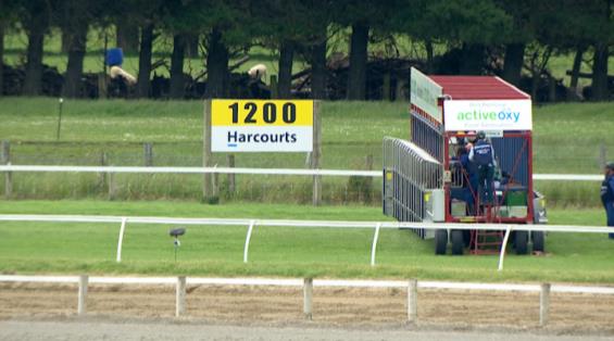 View video › View video ›