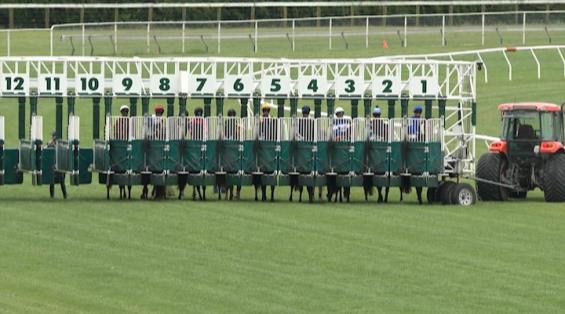 View video › View video ›