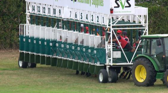 View video › View video ›