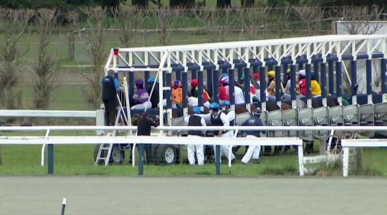 View video › View video ›