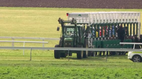 View video › View video ›